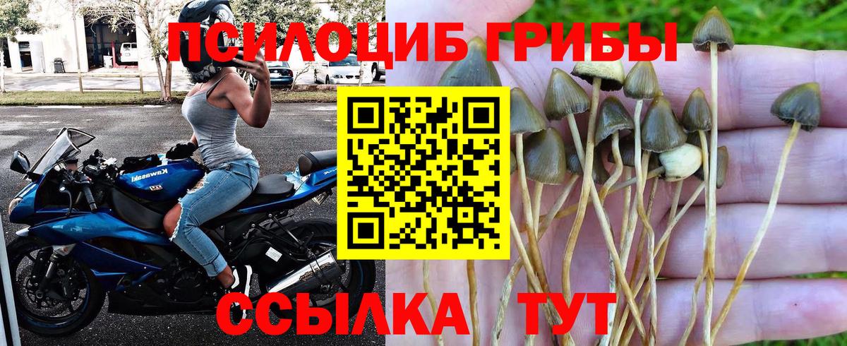 Галлюциногенные грибы Magic Shrooms Троицк