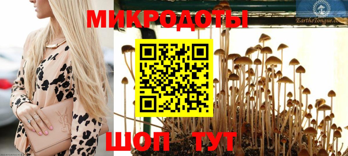 Троицк  магазин продажи наркотиков  Вход с VPN  Псилоцибиновые грибы мухоморы 